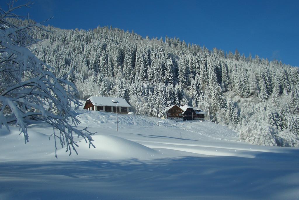 Gasthof Thurnerhof Untertweng Exteriér fotografie